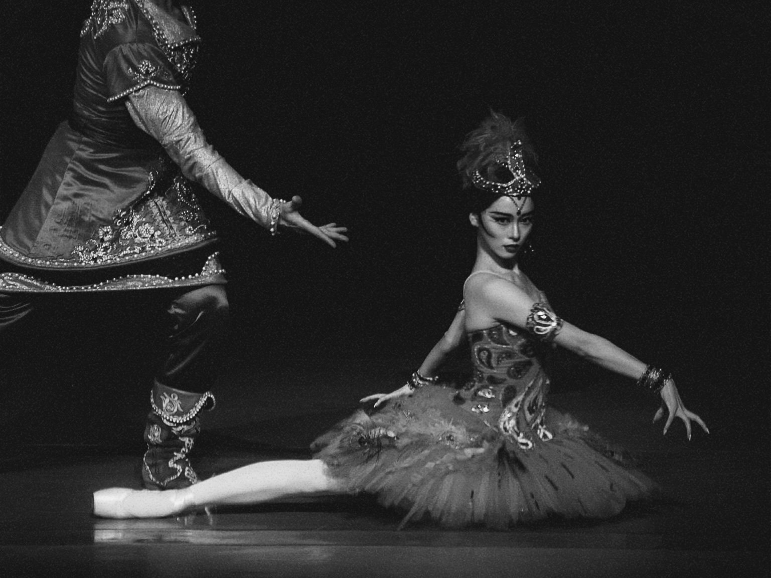 The Firebird – The Firebird